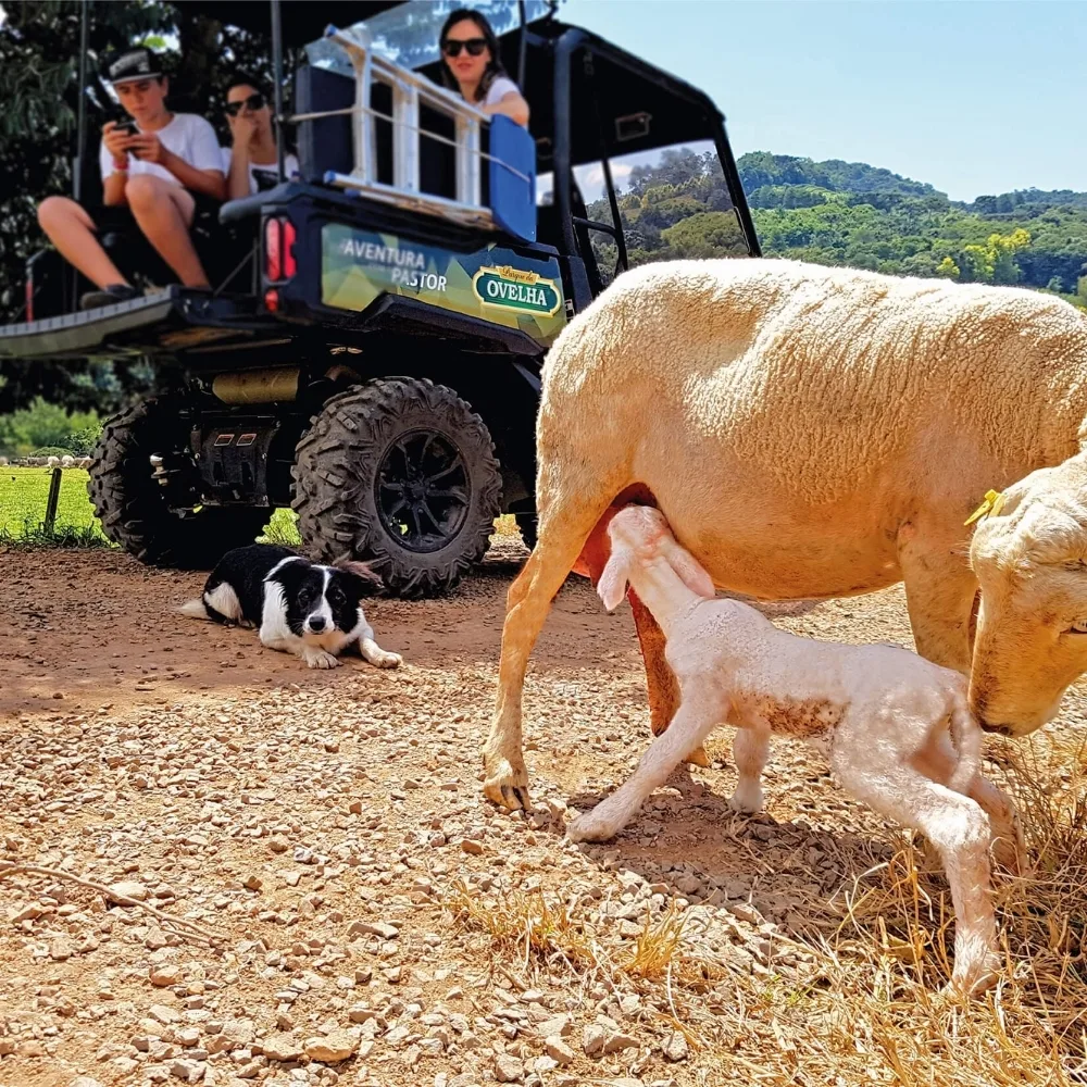 Casa de pedra no Caminho de Pedras, Bento Goncalves