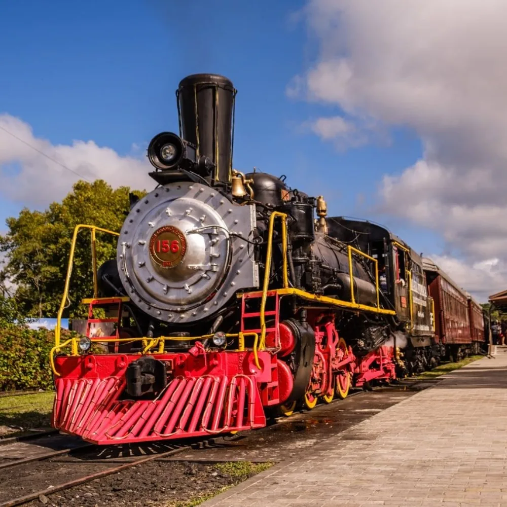 Trem Maria Fumaca na Serra Gaucha
